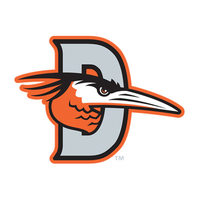 Delmarva-Shorebirds-Logo